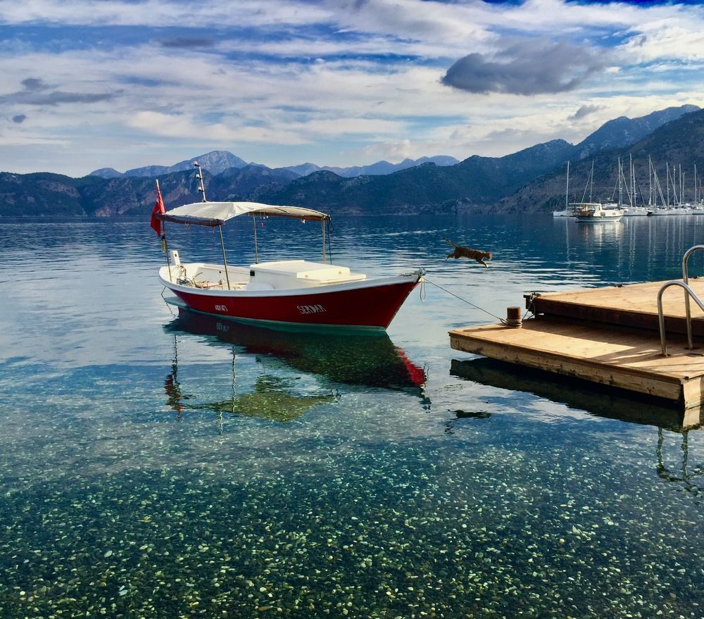 Photograph by Ahmet Aka