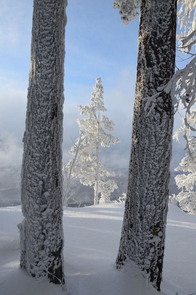 Photograph by Марина Корреа Ластра