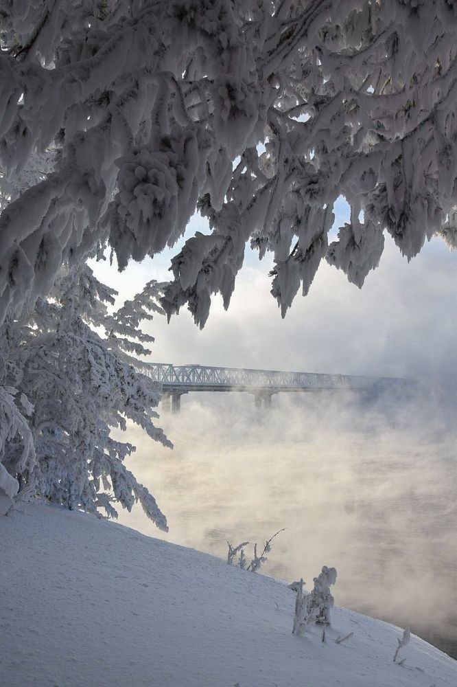 Photograph by Марина Корреа Ластра