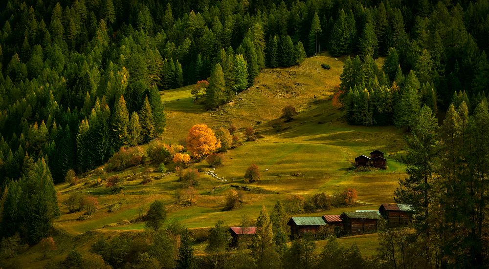 Photograph by Boris Bekelman