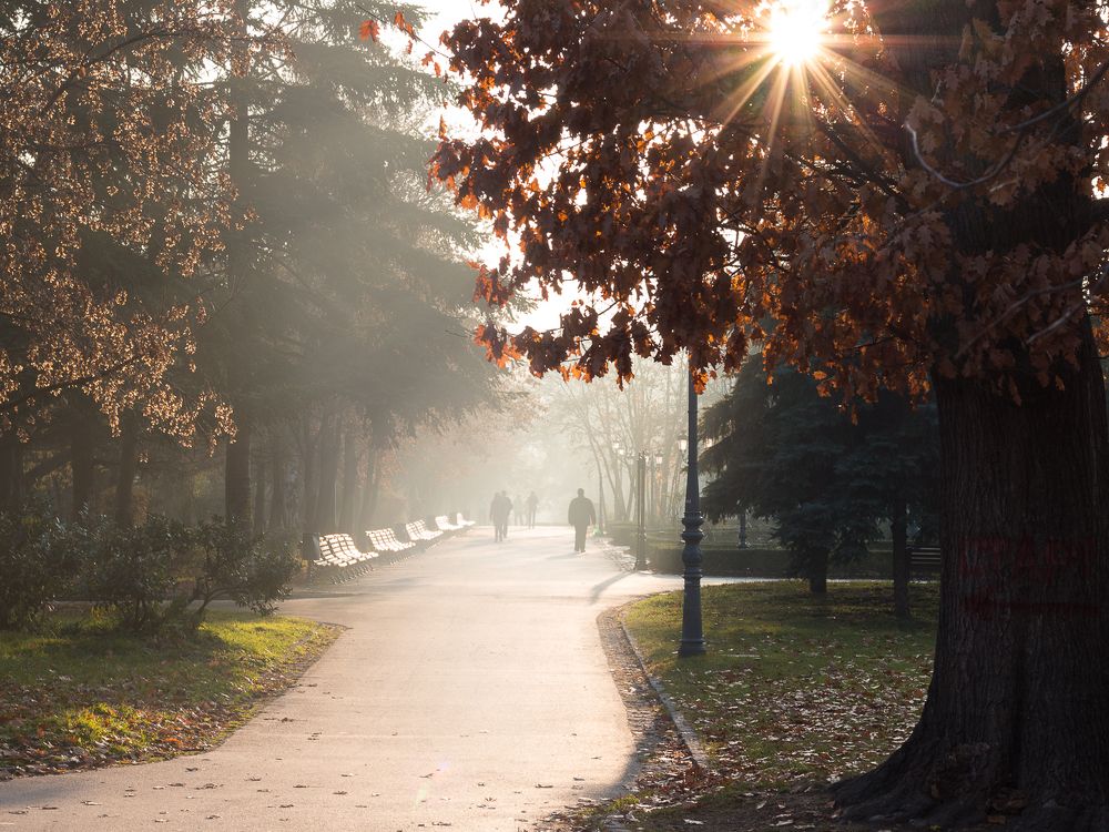 Photograph by Radoslav Bonev