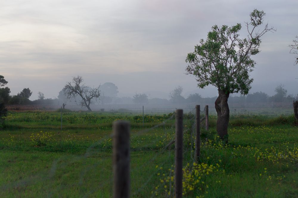 Photograph by Radoslav Bonev