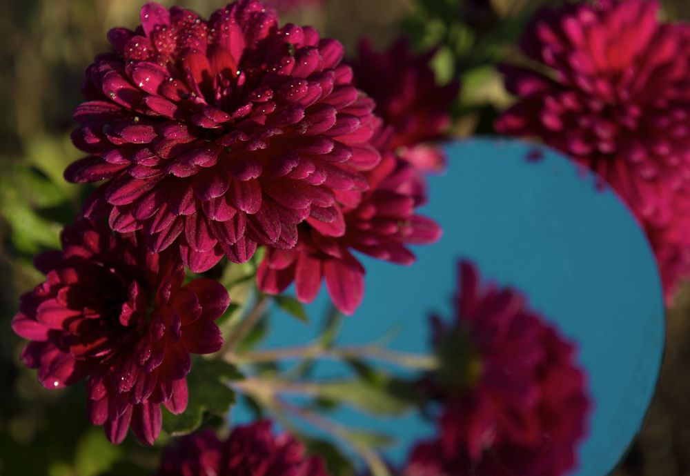 Photograph by Валерия Мандрика