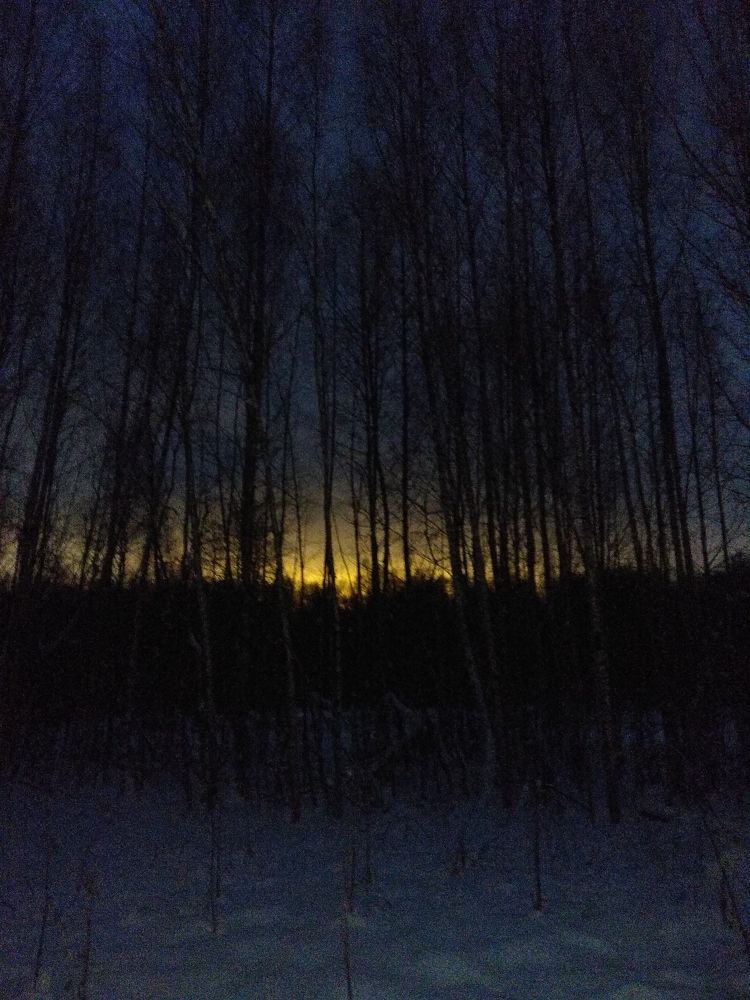 Фотография автора Людмила Леонова