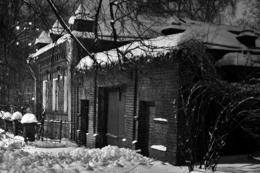 Photograph by Дмитрий Суровцев