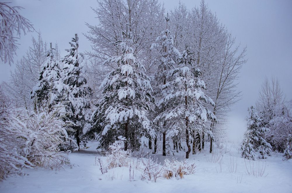 Photograph by Мария Сычёва