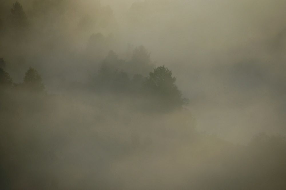 Photograph by Светлана Лехмус