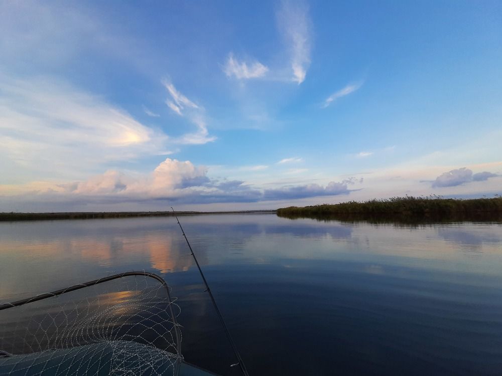 Photograph by Валерия Мандрика