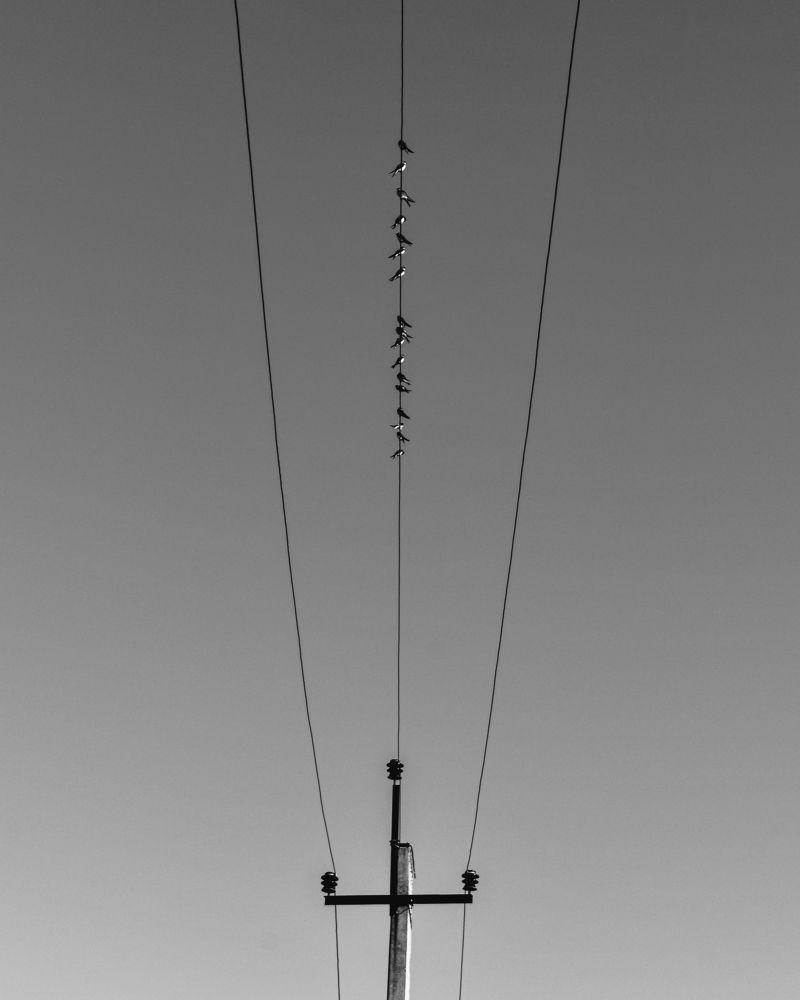 Равновесие (Equilibrium)