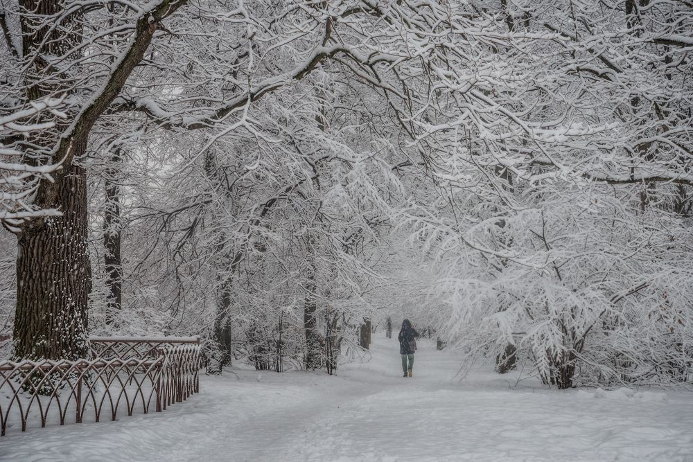 Photograph by Марина Ческис