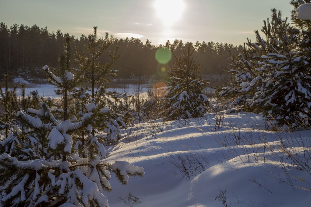 Photograph by Андрей Почечуй