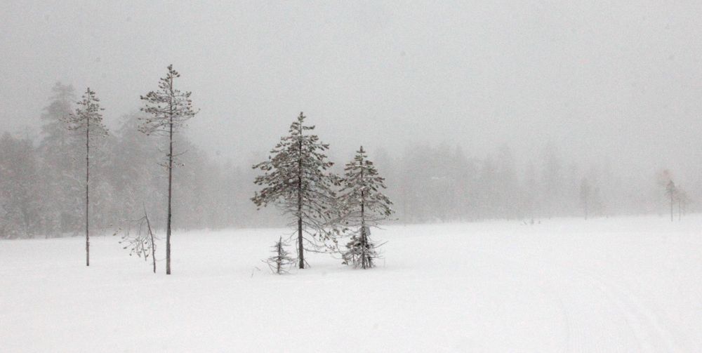 Photograph by Лада Денисова