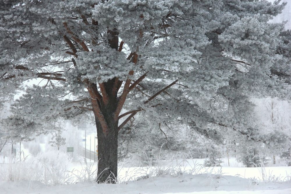 Photograph by Лада Денисова