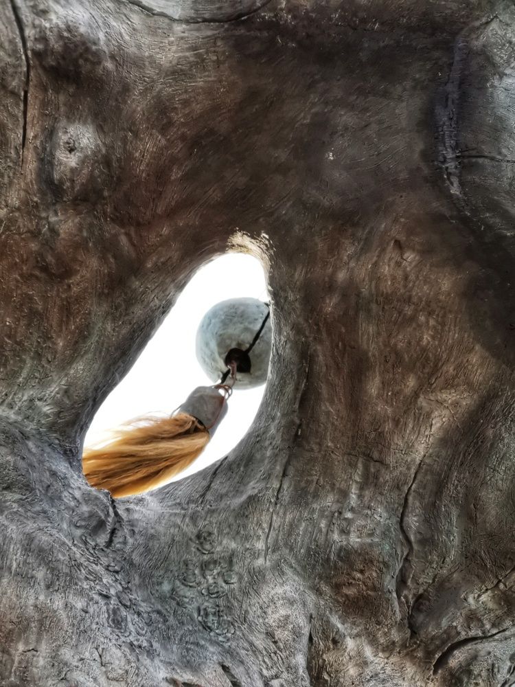 Photograph by Марина Корреа Ластра