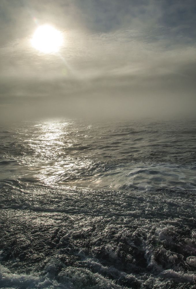 Photograph by Юрий Ковальногов