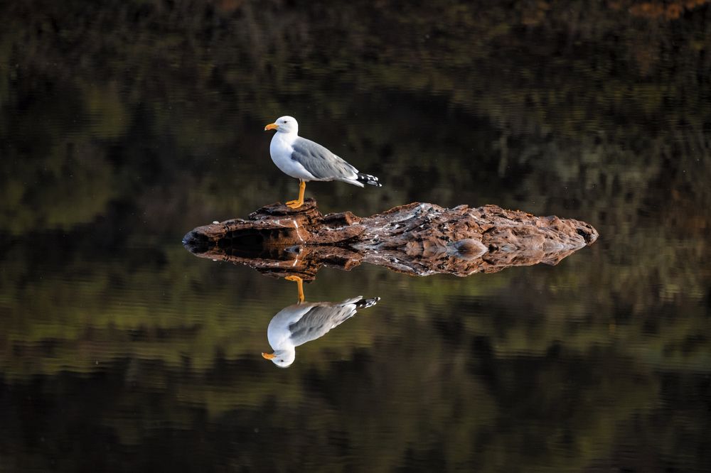 Photograph by Katerina Pustoshnaia