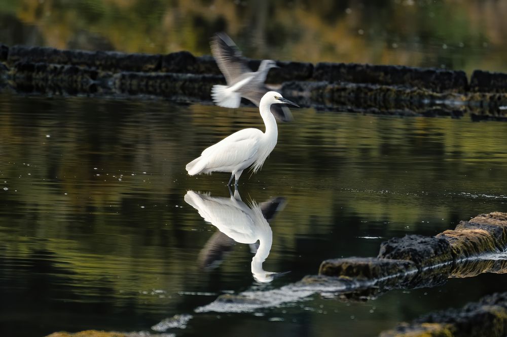 Photograph by Katerina Pustoshnaia