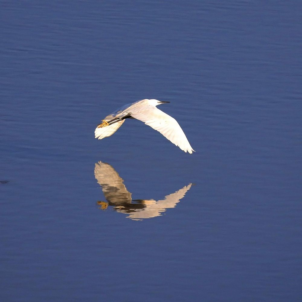 Photograph by Hugo Marques