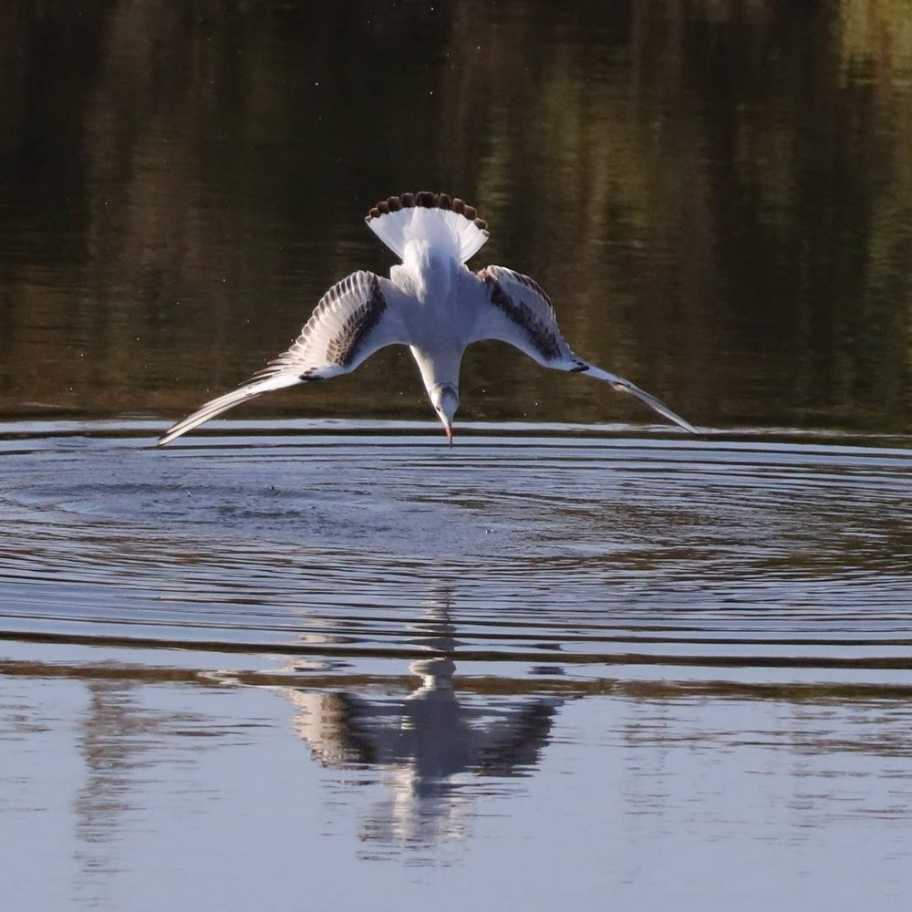 Photograph by Hugo Marques