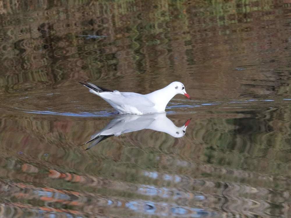 Photograph by Hugo Marques