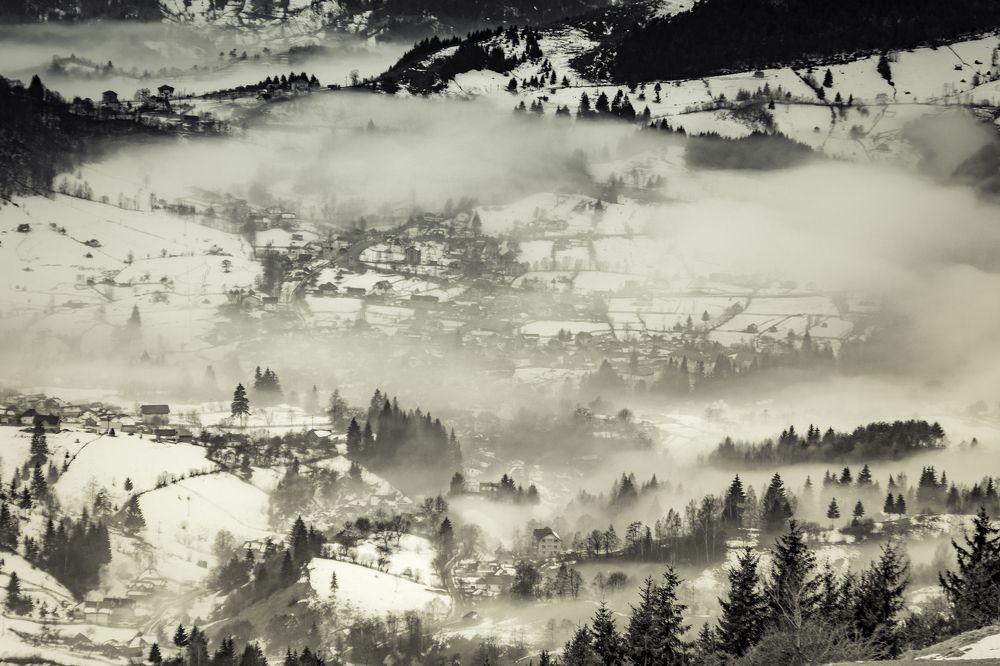 Photograph by Sarageaua Cristina