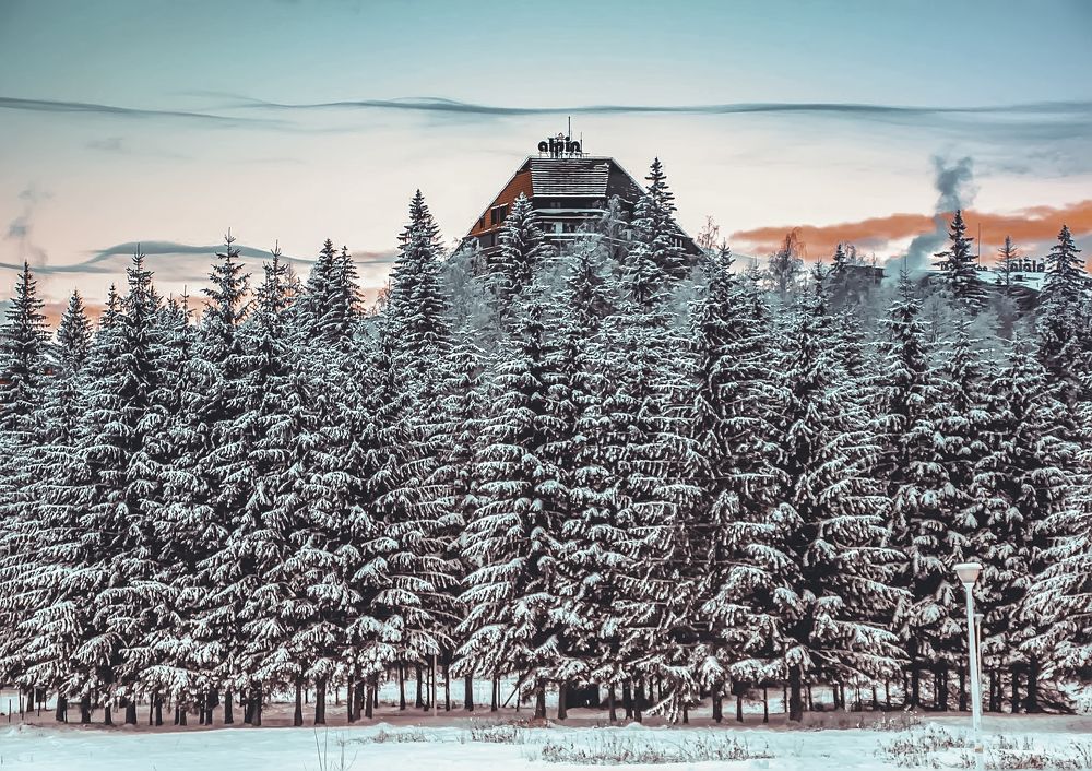 Photograph by Sarageaua Cristina