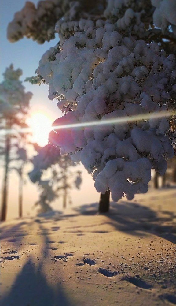 Photograph by Женя Евсеева