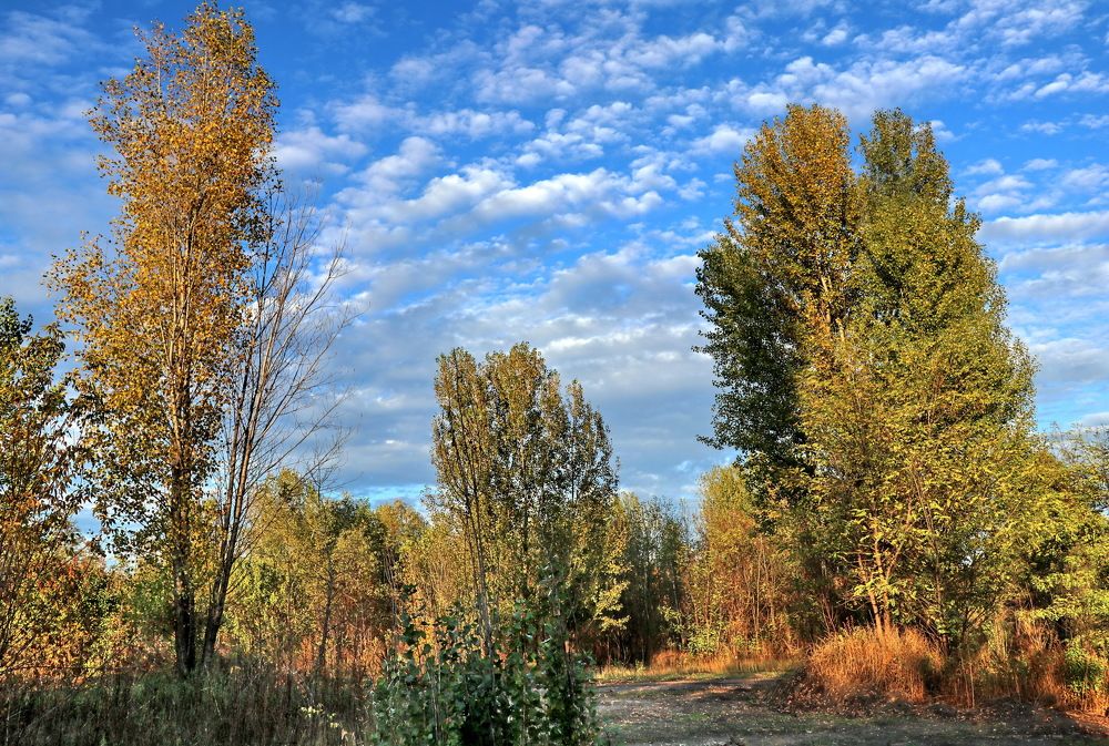 Photograph by Владимир Подкуйко