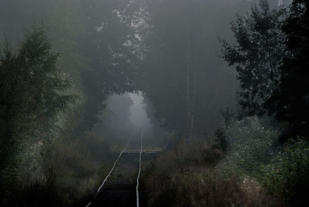 Photograph by Дмитрий Бутин