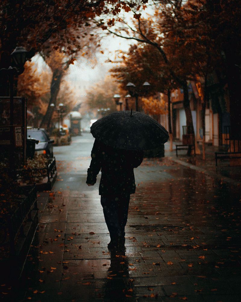 Photograph by Mohammad Amirahmadi