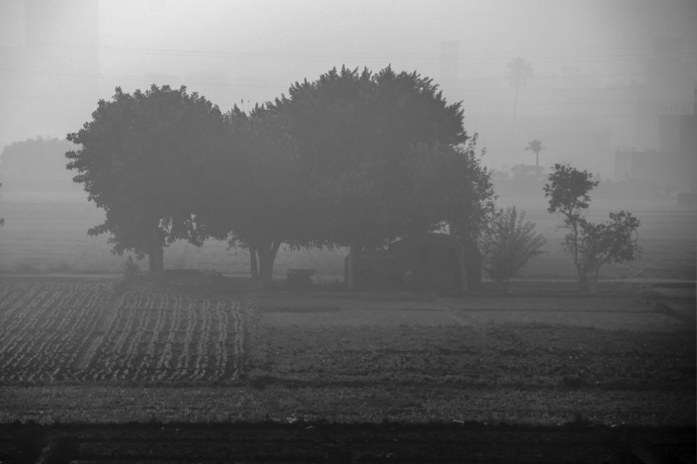 Photograph by Helmy Moataz