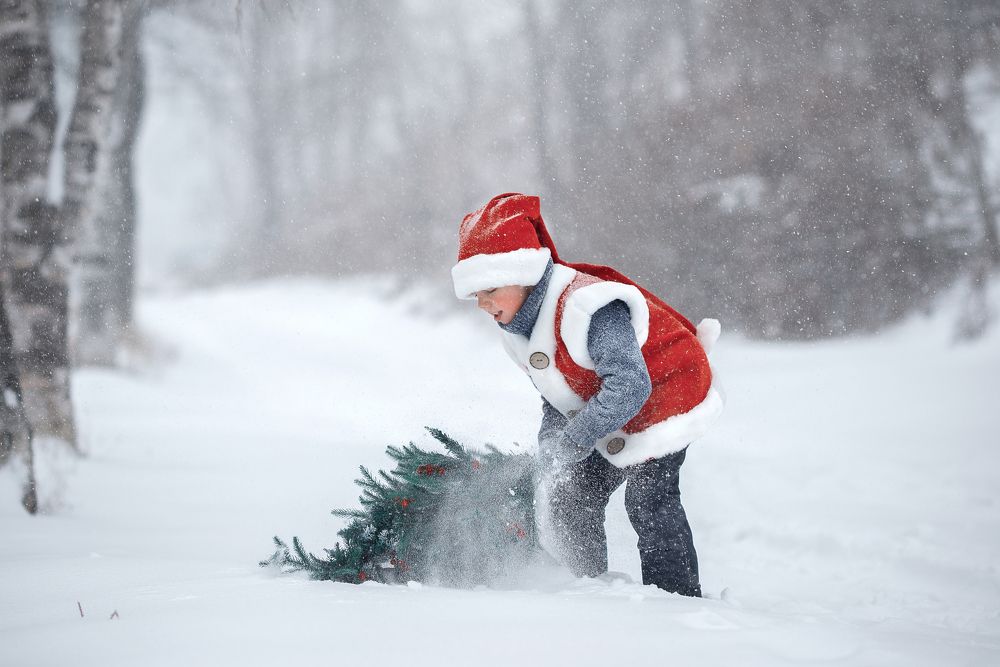 Photograph by Julia Moiseenko