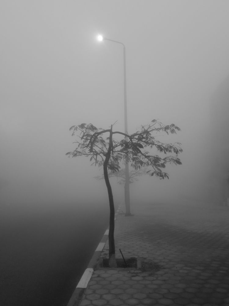 Photograph by Helmy Moataz