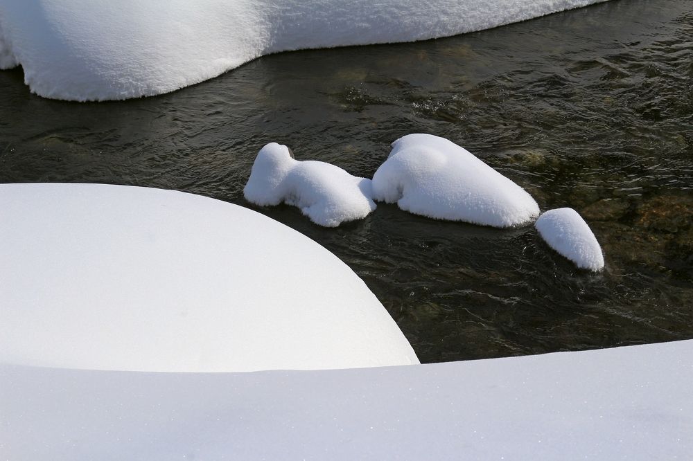 "Пухляки" на прогулке.