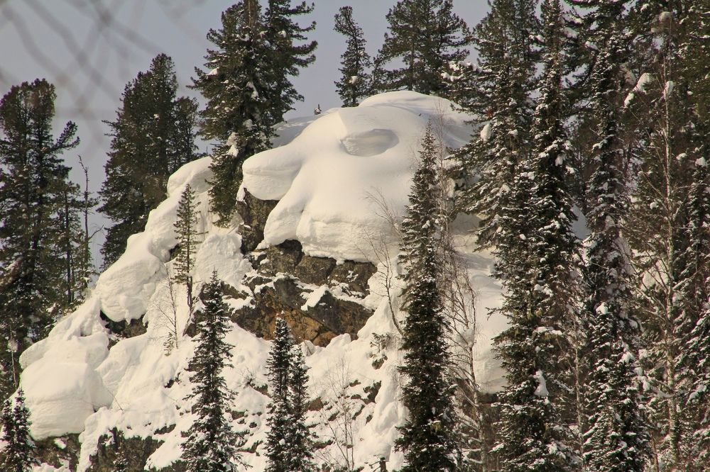 Занесённые ветром...