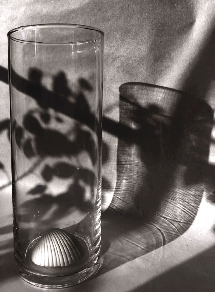 Photograph by Larissa