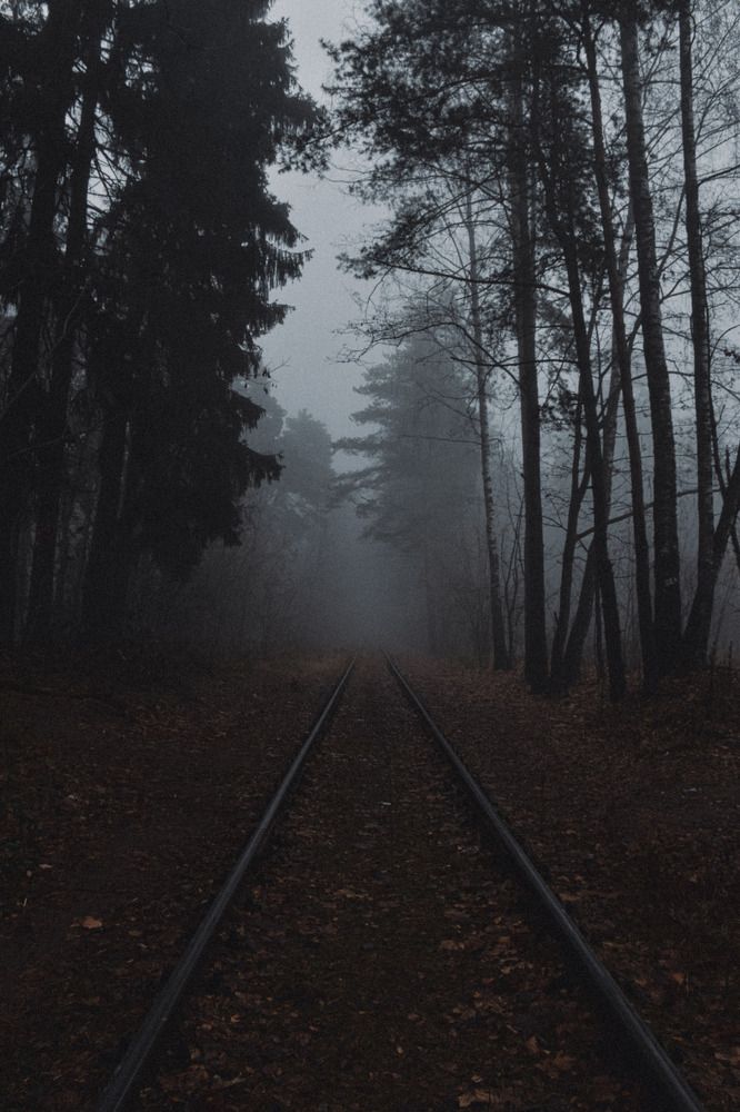 Photograph by Королева Екатерина