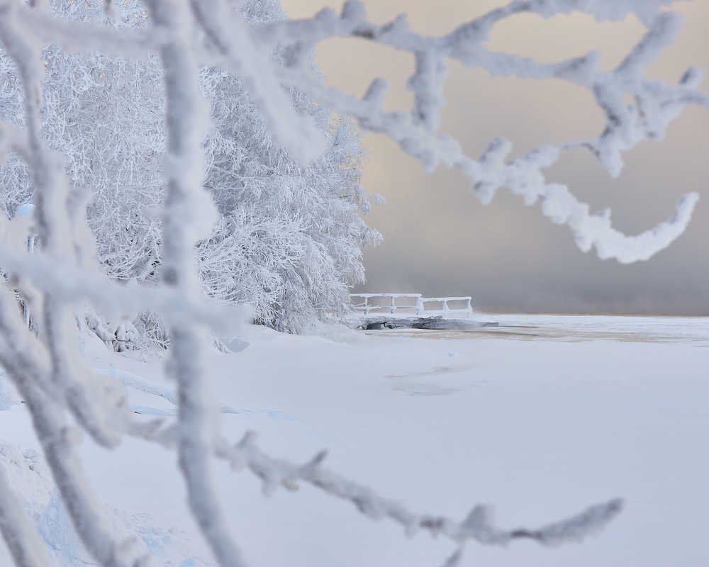 Photograph by Андрей Медведев