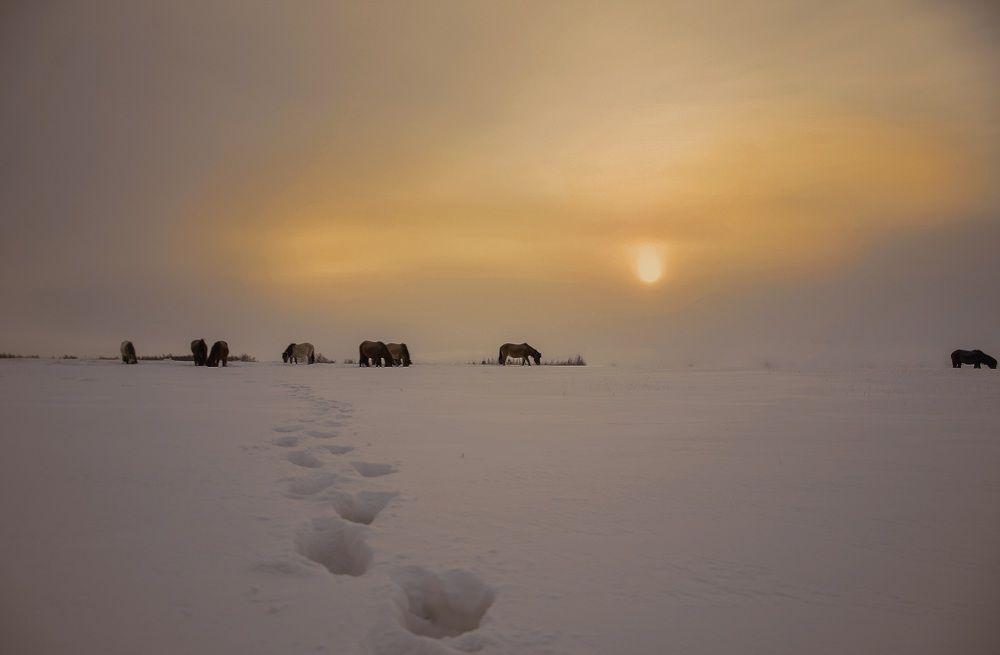 Photograph by Анастасия Тетерина