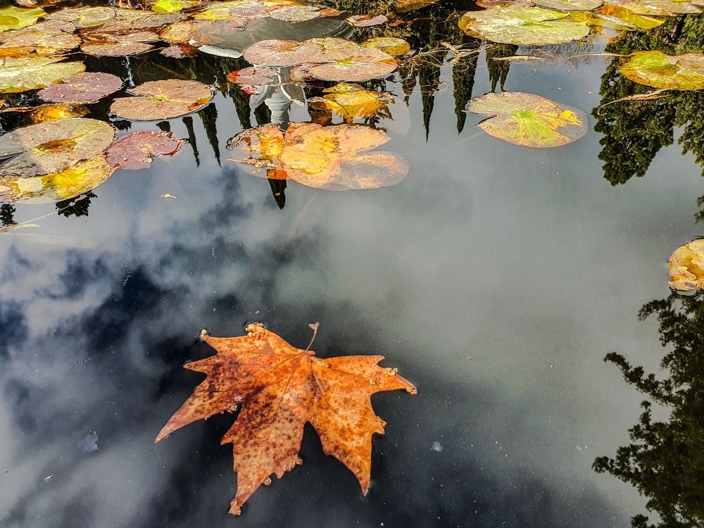 Photograph by mikhail goryachev