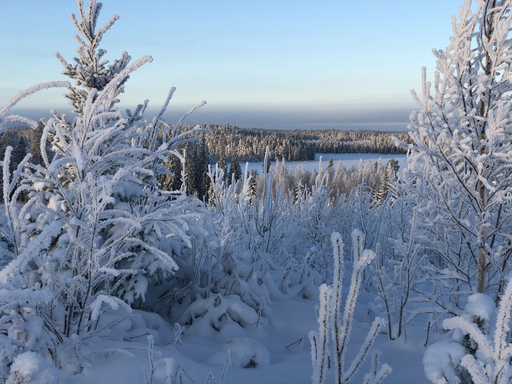 Photograph by ЮЛИЯ СУЛИМОВА