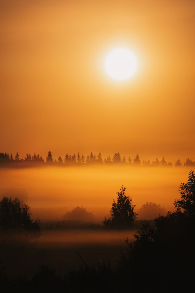 Photograph by Екатерина Аксёнова