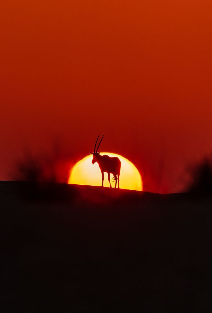 Photograph by Zubair Irshad