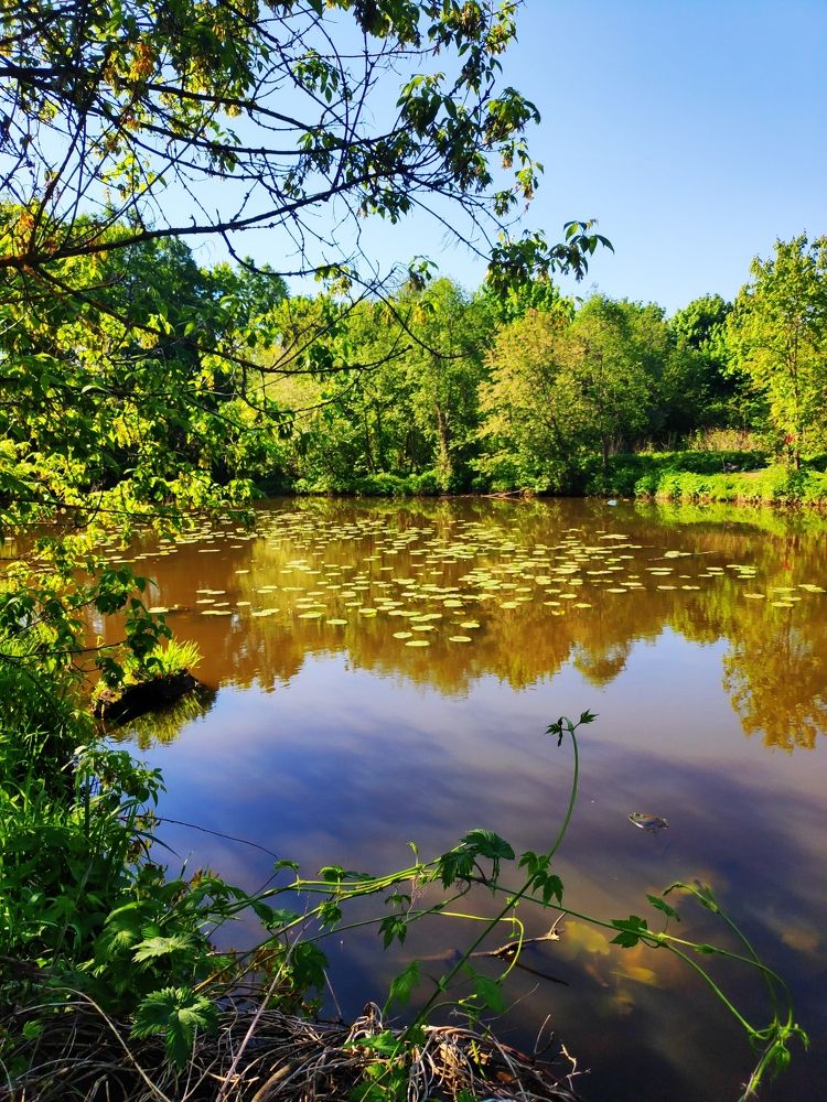 Photograph by Аксана
