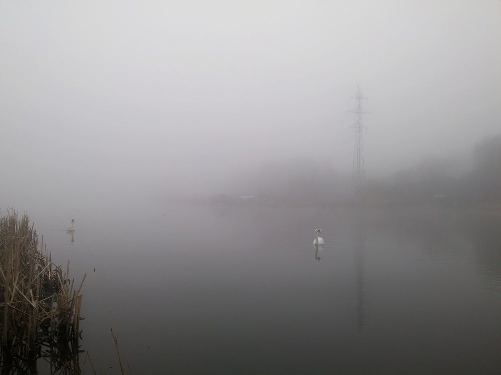 Photo #6907410