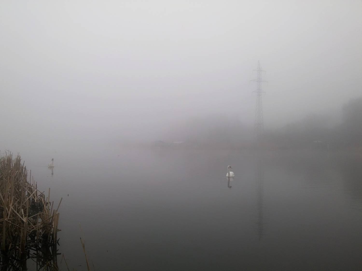 Photo #6907410