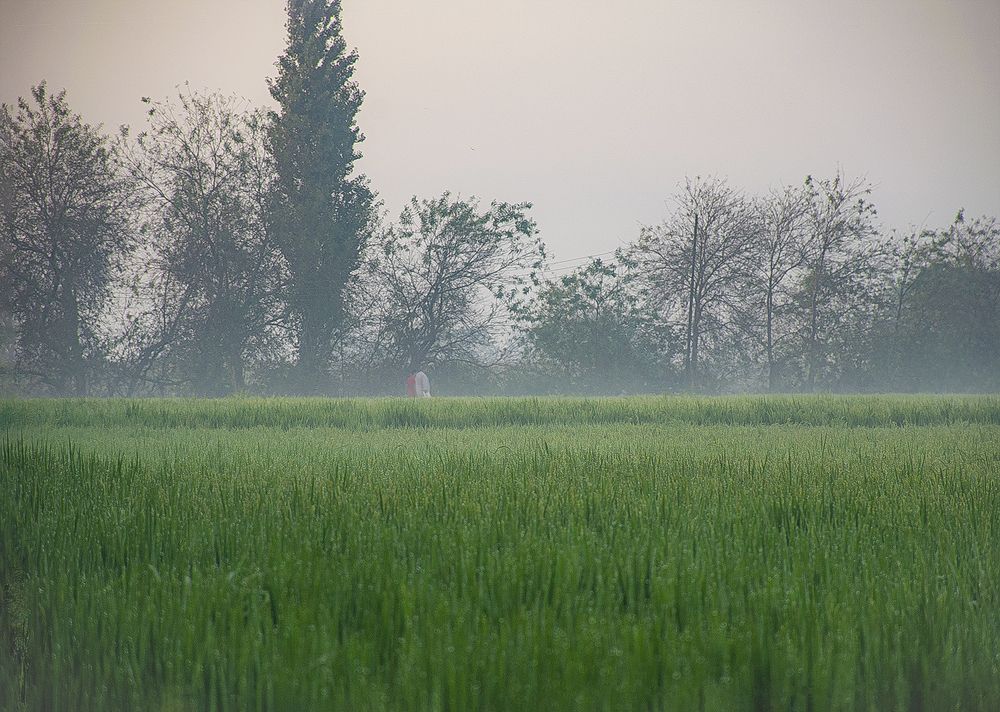 Photograph by Hanan Al Haddad