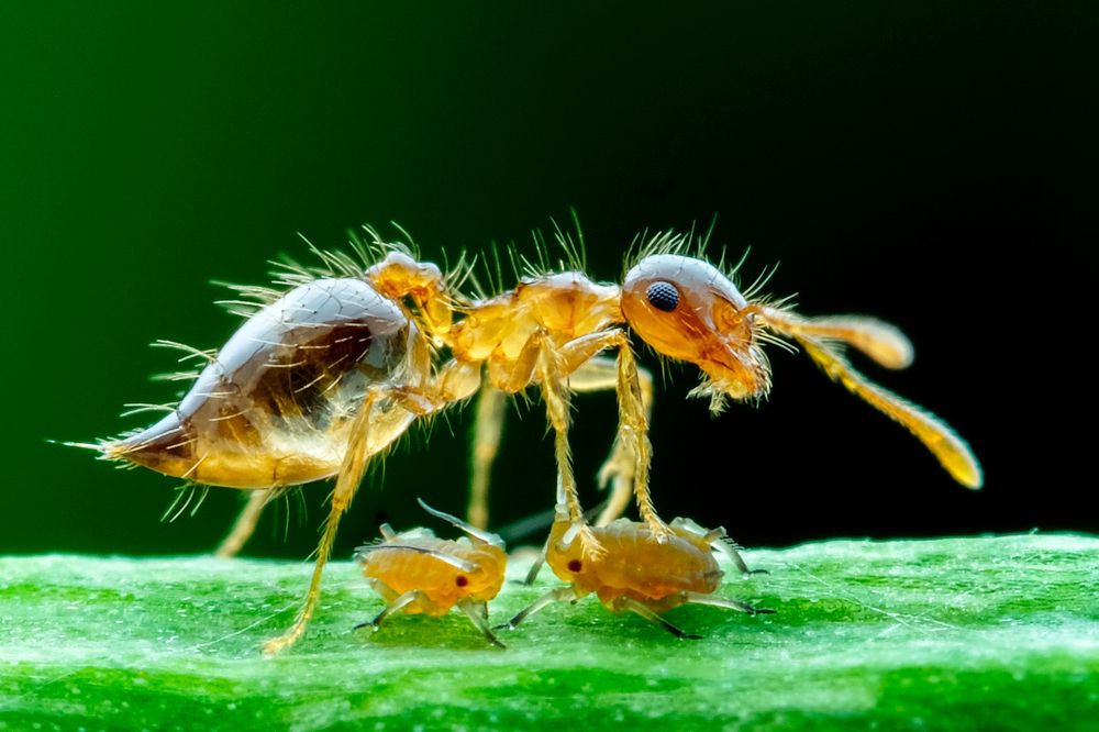 Photograph by KAIYEN LEE