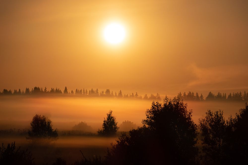 Photograph by Екатерина Аксёнова