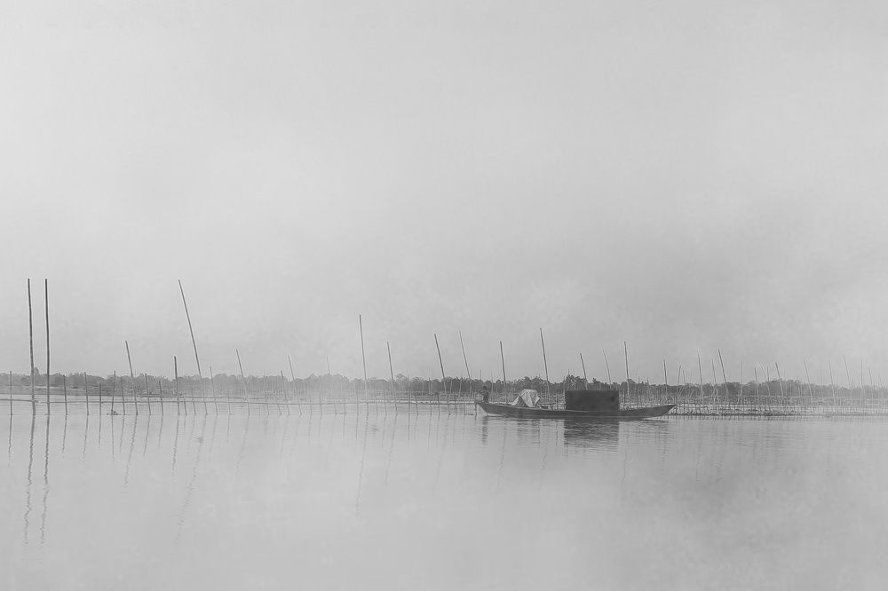 Photograph by pradiptamoy paul